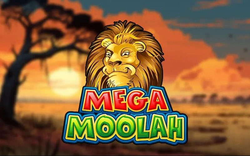 Spin for a chance to win one of the world's largest progressive network prizes in the famous Mega Moolah at 1w.